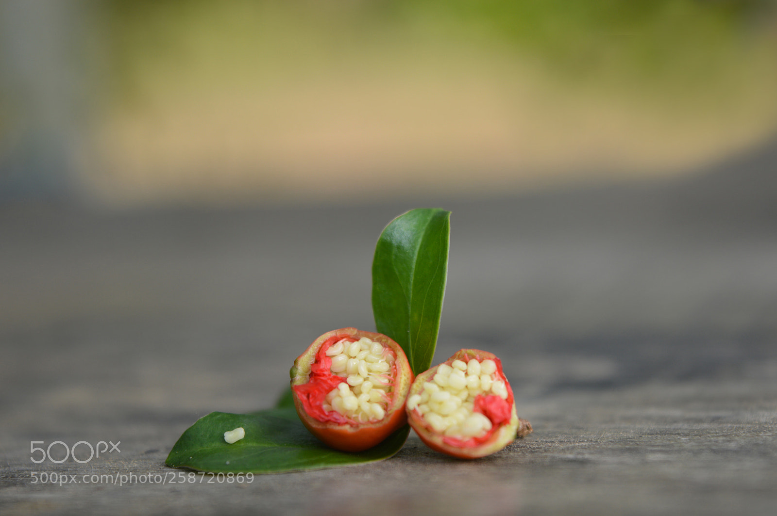 Nikon D3200 sample photo. Food photography