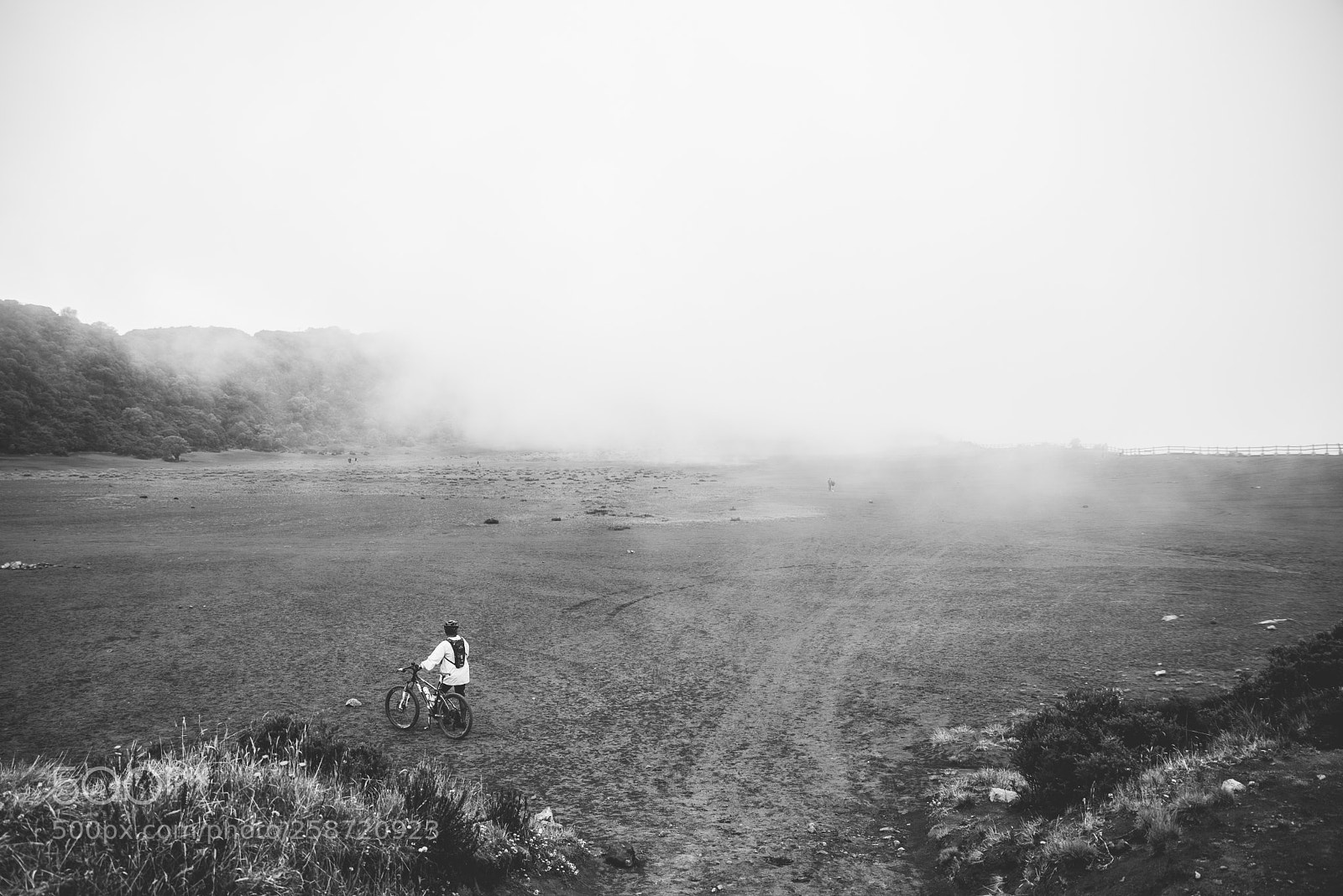 Nikon D750 sample photo. Mañana gris photography