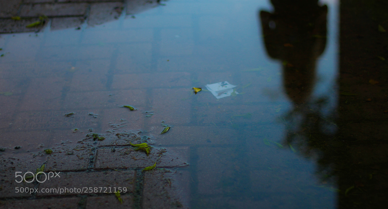 Canon EOS 700D (EOS Rebel T5i / EOS Kiss X7i) sample photo. Portal photography