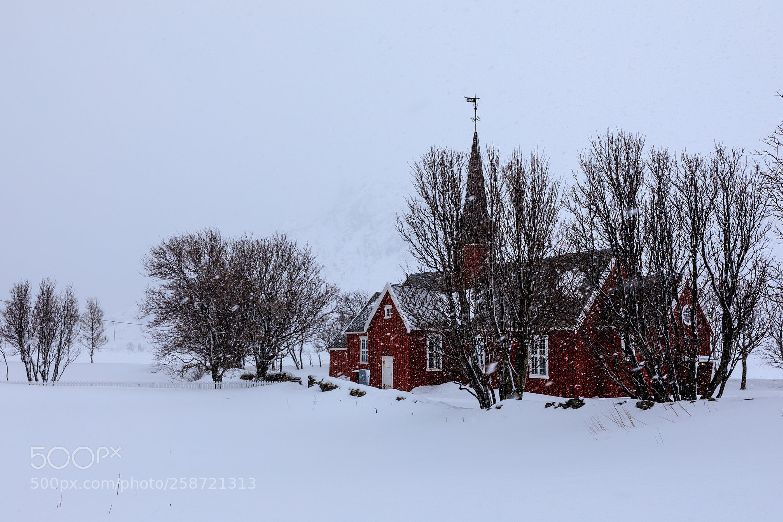 Canon EOS 5D Mark IV sample photo. Lofoten photography