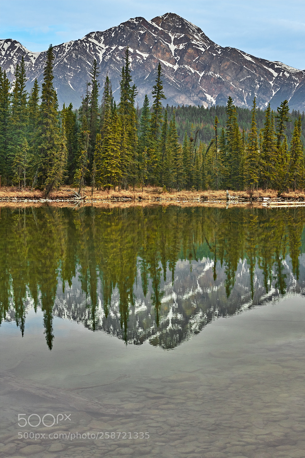 Nikon D850 sample photo. Pyramid moutain reflected in photography