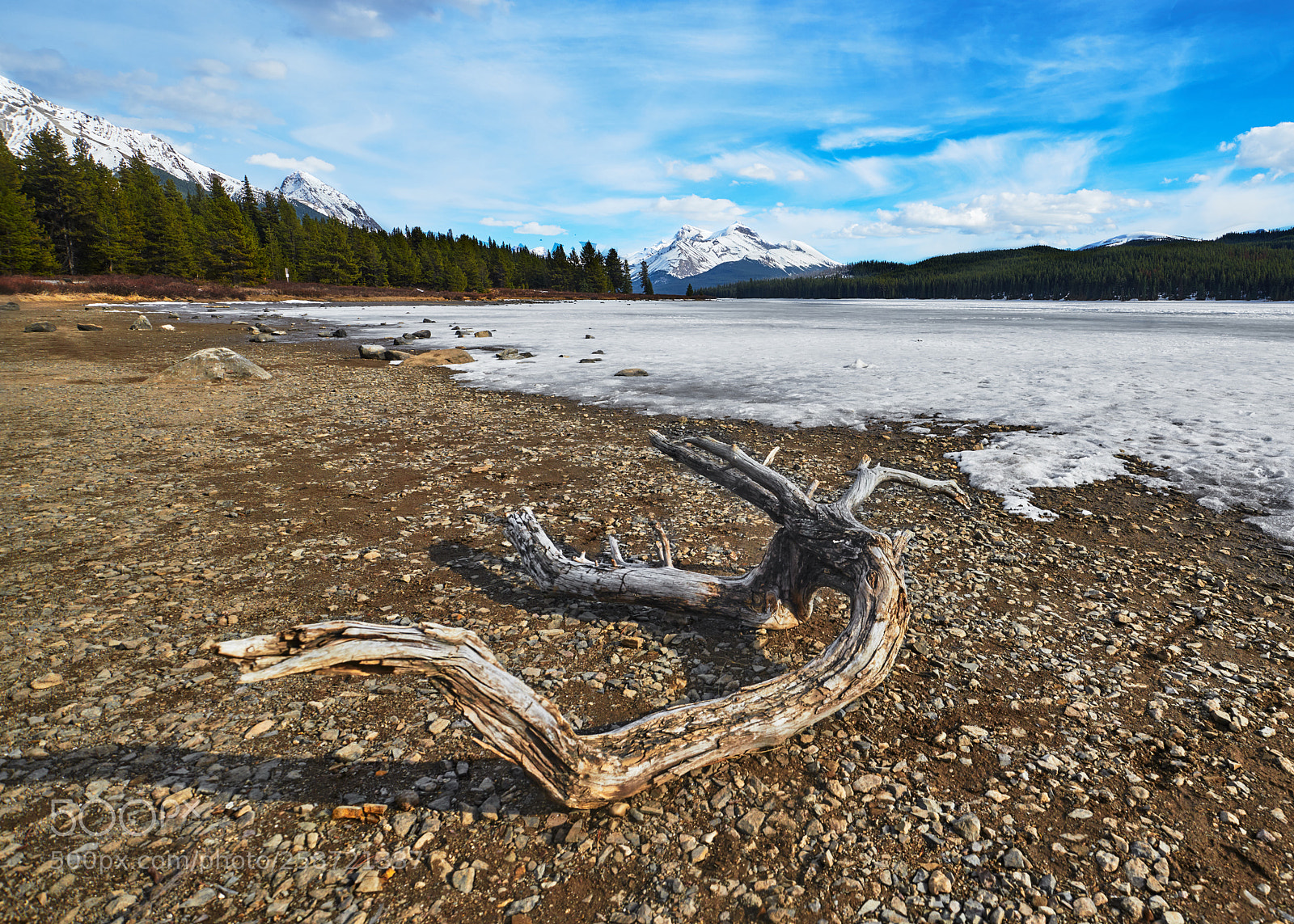 Nikon D850 sample photo. Maligne lake beach photography