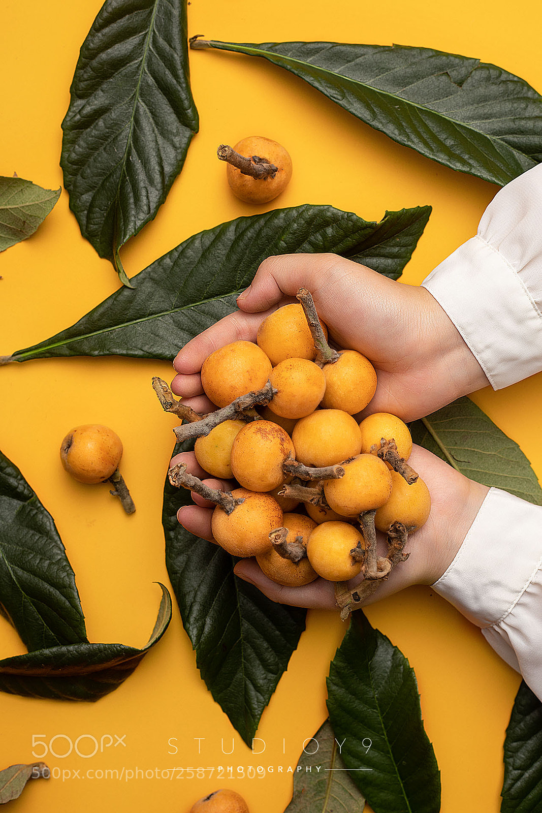 Canon EOS 5D Mark IV sample photo. 形似琵琶，黄似橘 photography