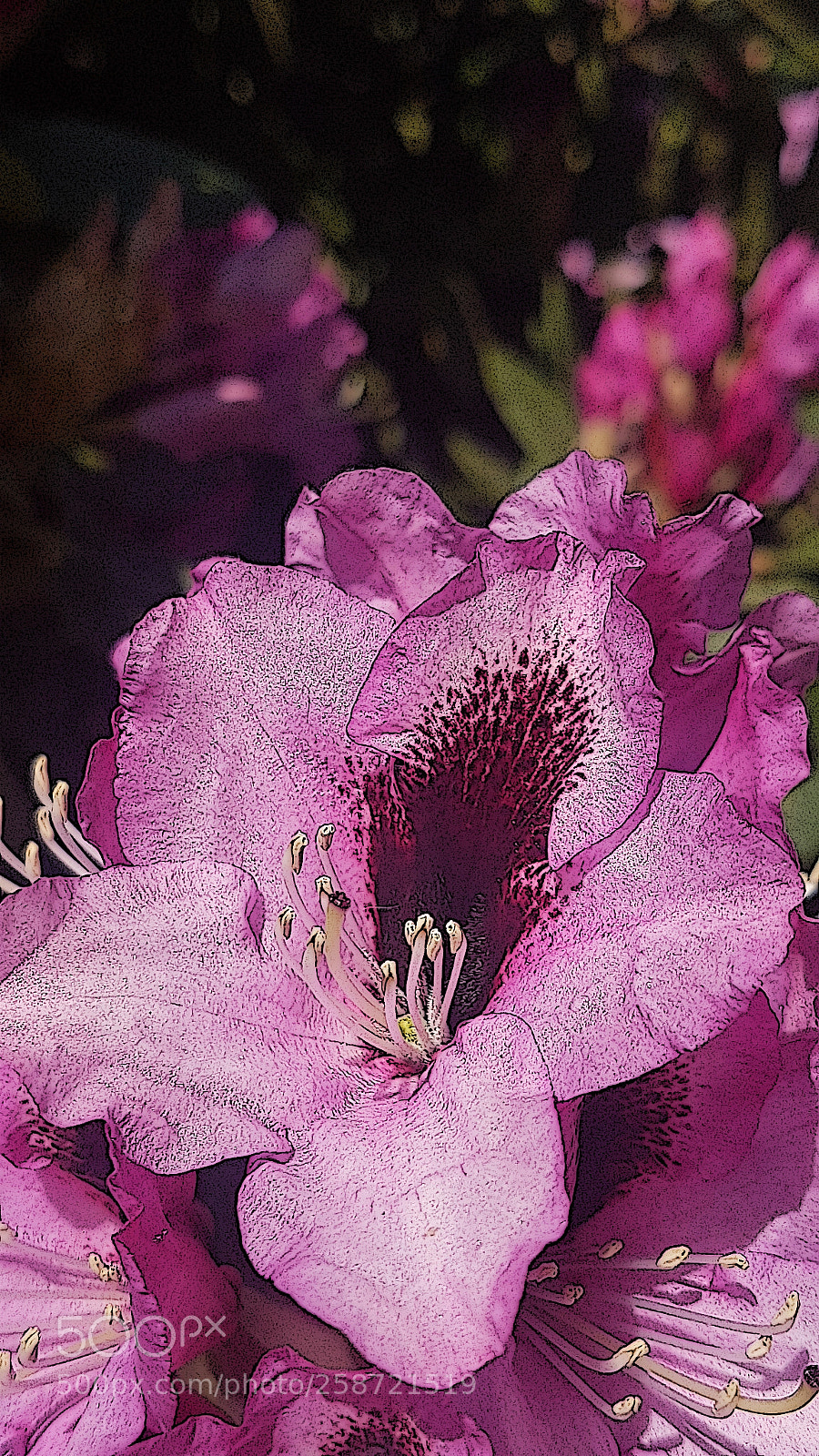 Samsung Galaxy S7 Edge sample photo. Untitled photography