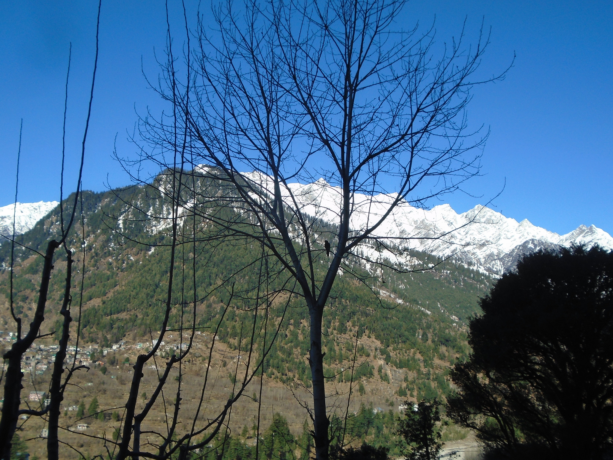 Sony Cyber-shot DSC-W800 sample photo. Snowy mountains photography