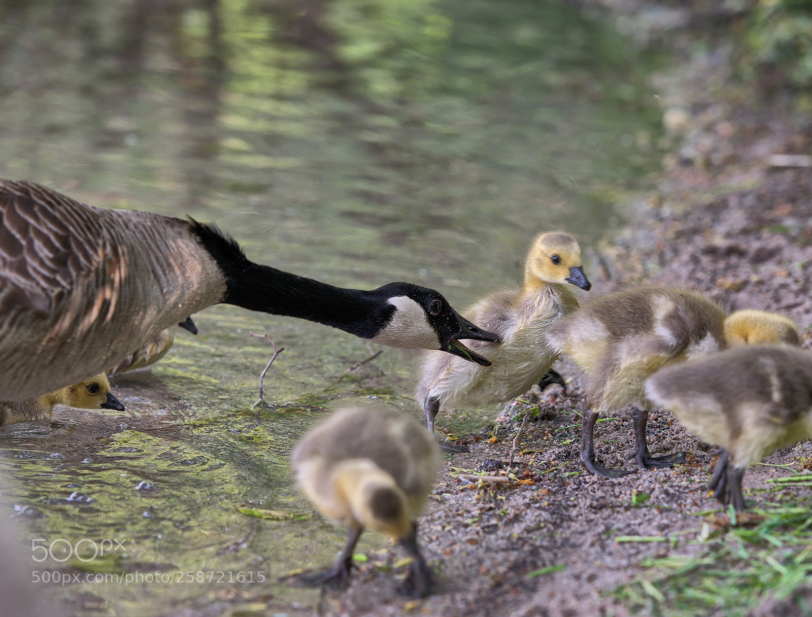 Nikon D800 sample photo. Some kind of education photography