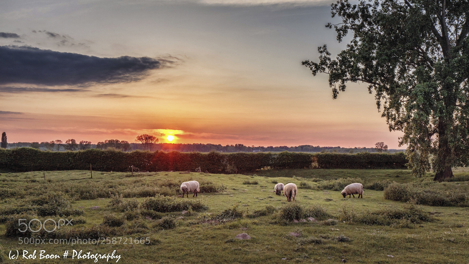 Canon EOS 5DS sample photo. Sunset @ hartelstein 1 photography