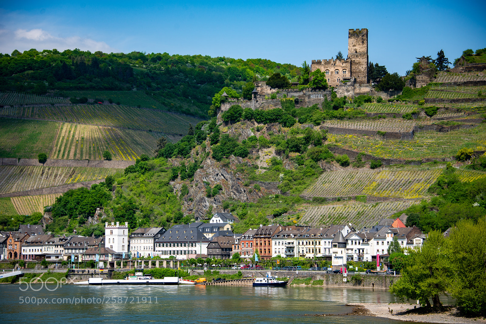 Nikon D610 sample photo. Rhein casteling photography