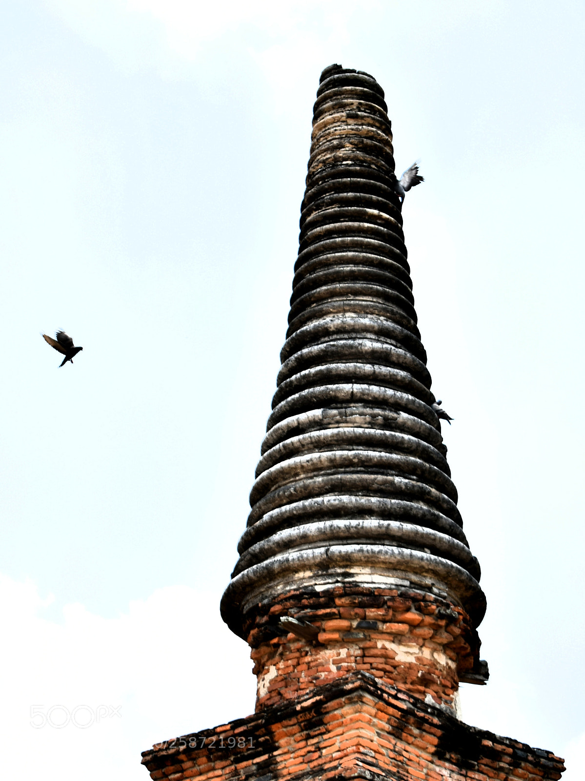 Nikon D5300 sample photo. Untitled photography