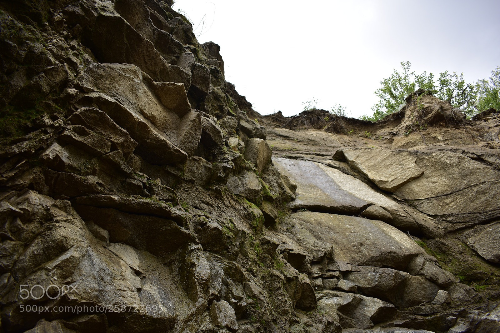 Nikon D3400 sample photo. Untitled photography