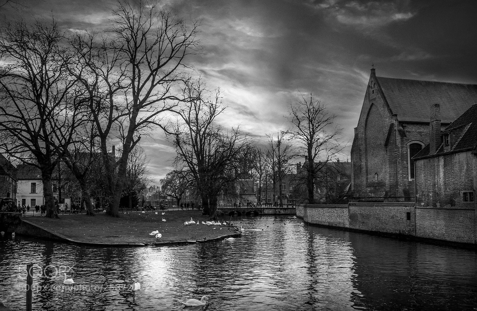 Canon EOS 550D (EOS Rebel T2i / EOS Kiss X4) sample photo. Brugges city b&w photography