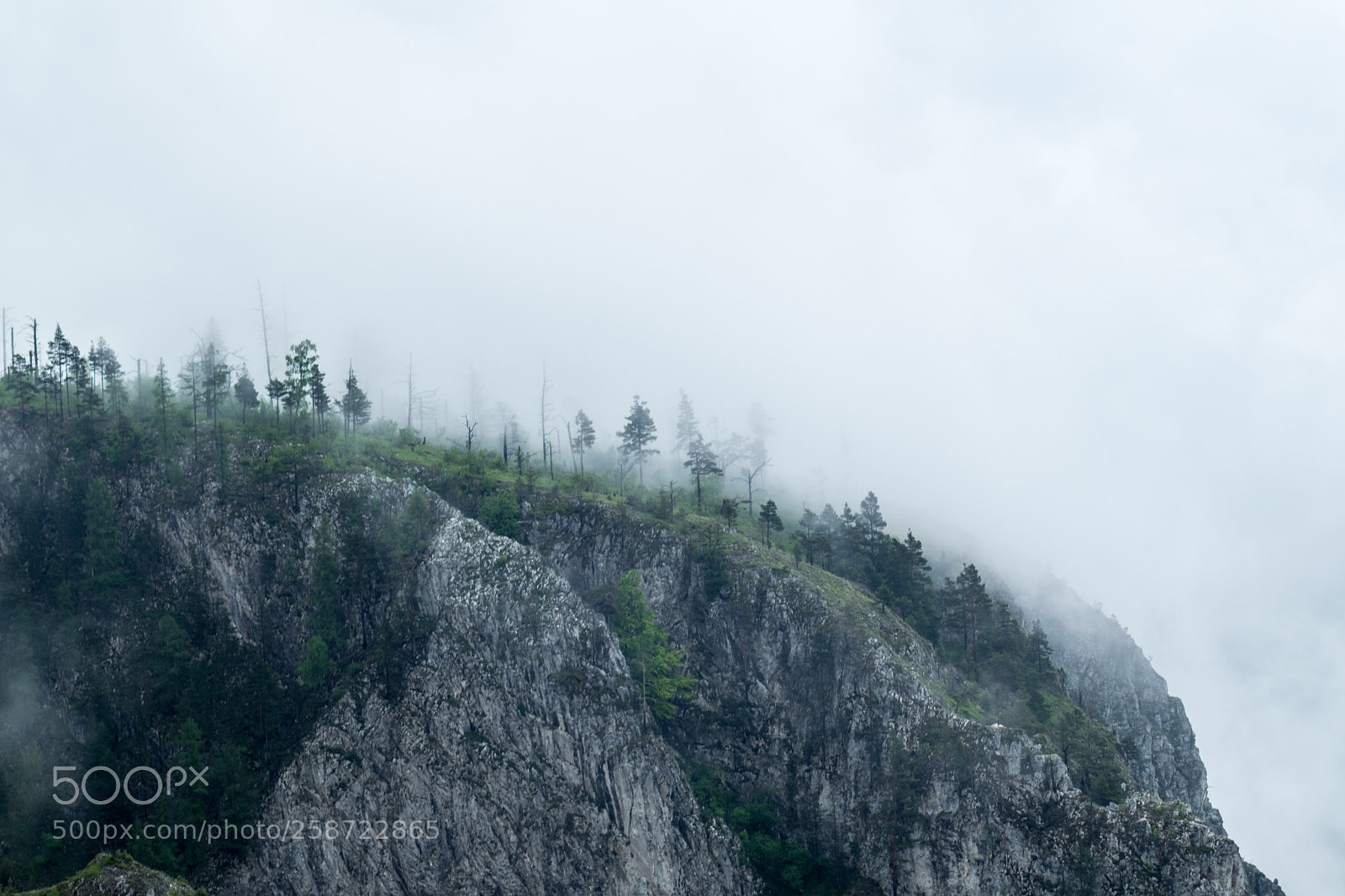 Nikon D3300 sample photo. Fog over the mountains photography