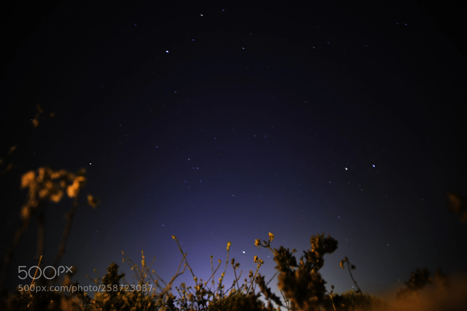 Nikon D700 sample photo. Crete photography