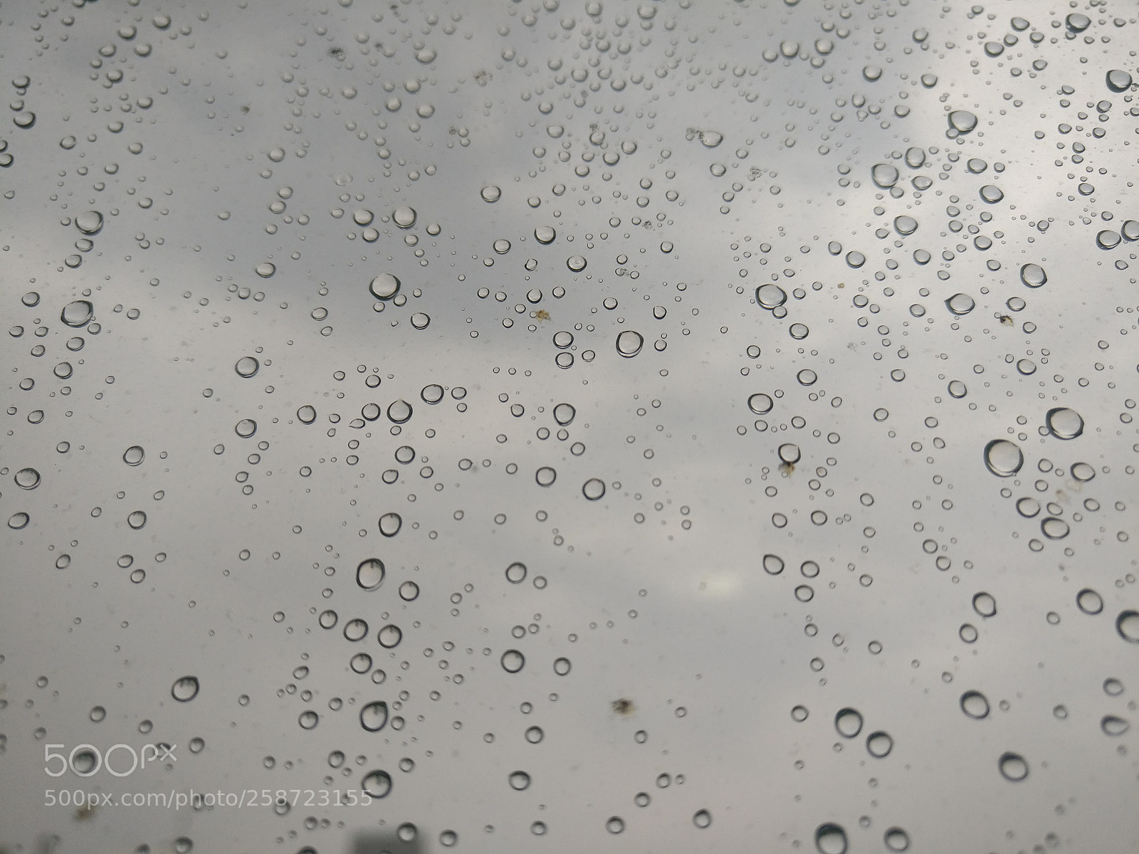 OnePlus A3003 sample photo. After heavy rains, bus photography