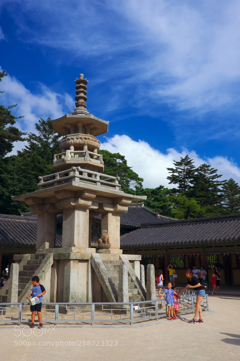 Fujifilm X-T20 sample photo. Dabo tap photography