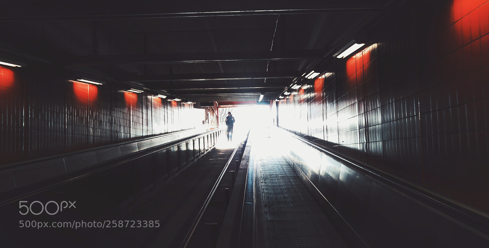 LG G4 sample photo. Tunnel vision photography