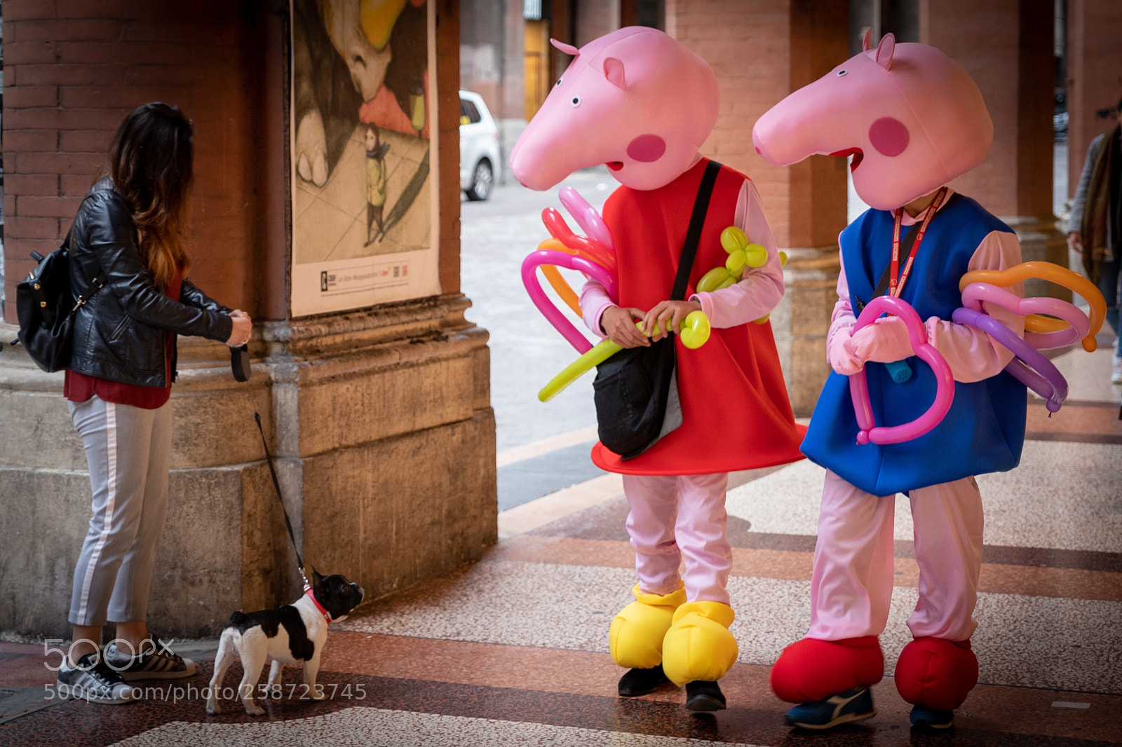 Canon EOS 6D Mark II sample photo. Suspicious pigs photography