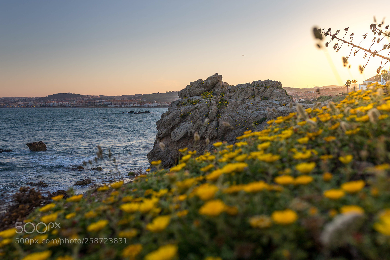 Canon EOS 6D Mark II sample photo. Punta del salto de photography