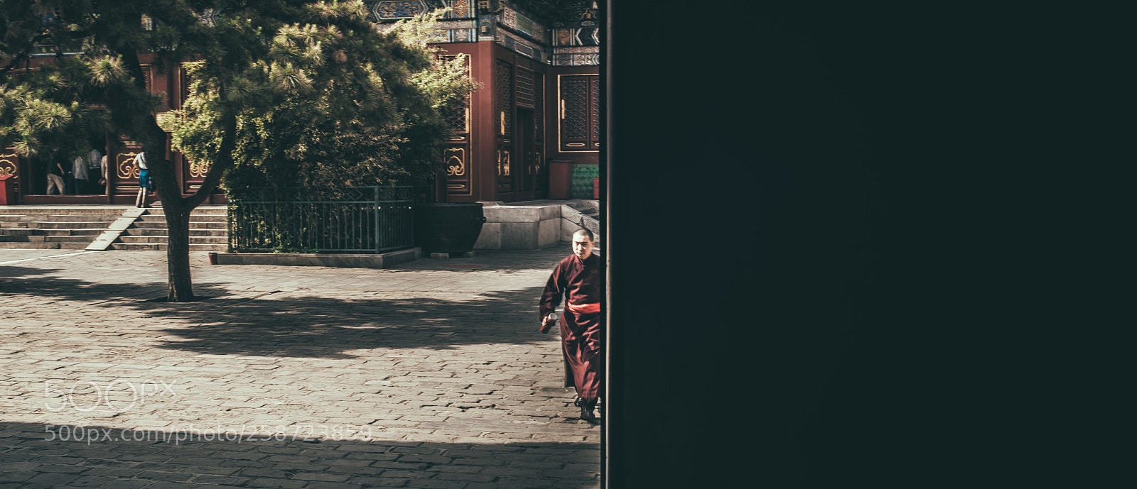 Nikon D750 sample photo. Monk. photography