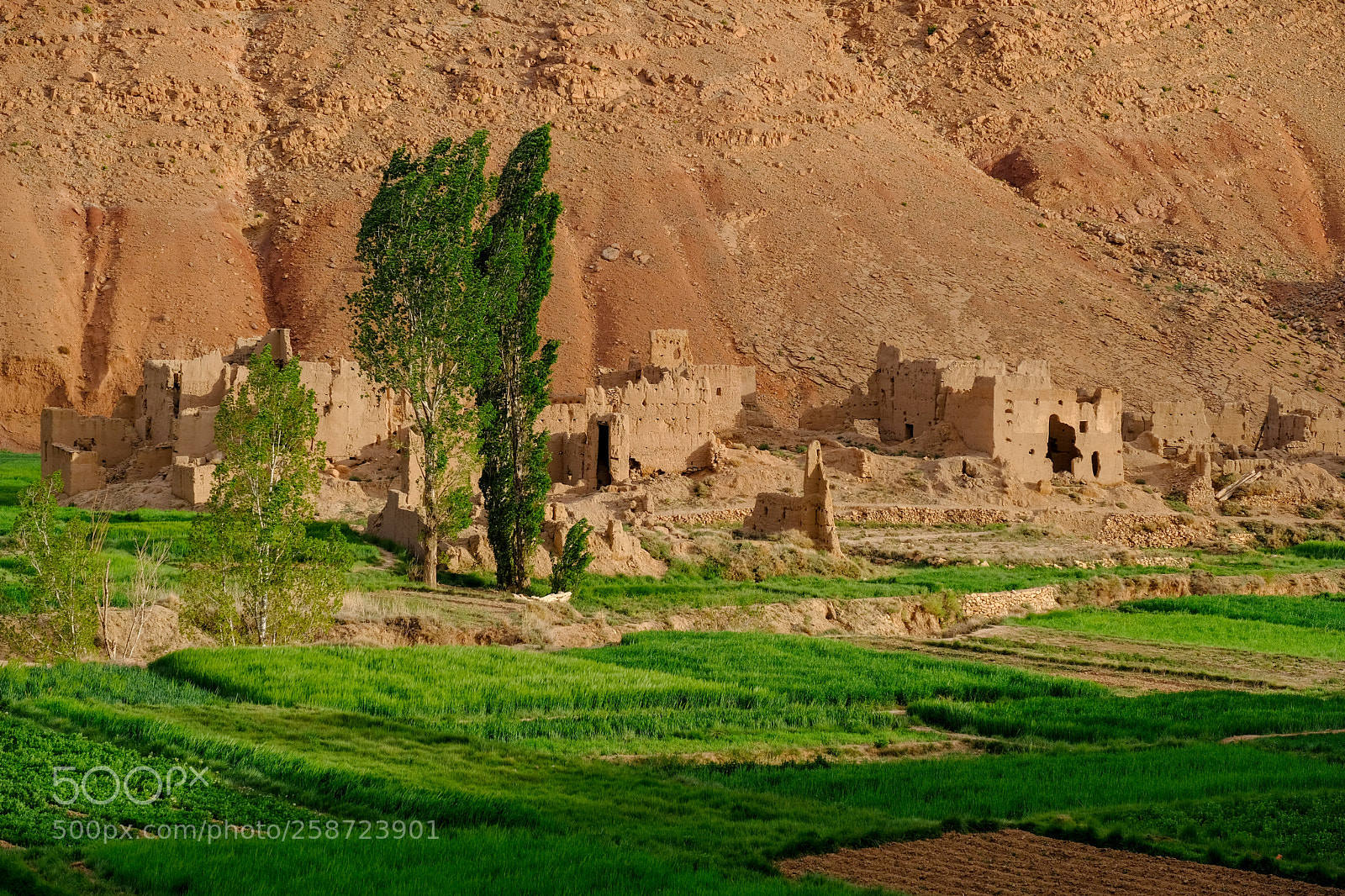 Fujifilm X-T20 sample photo. Ruins of old kasbah photography