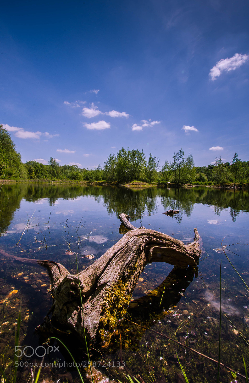 Nikon D7000 sample photo. Boreham lakes photography