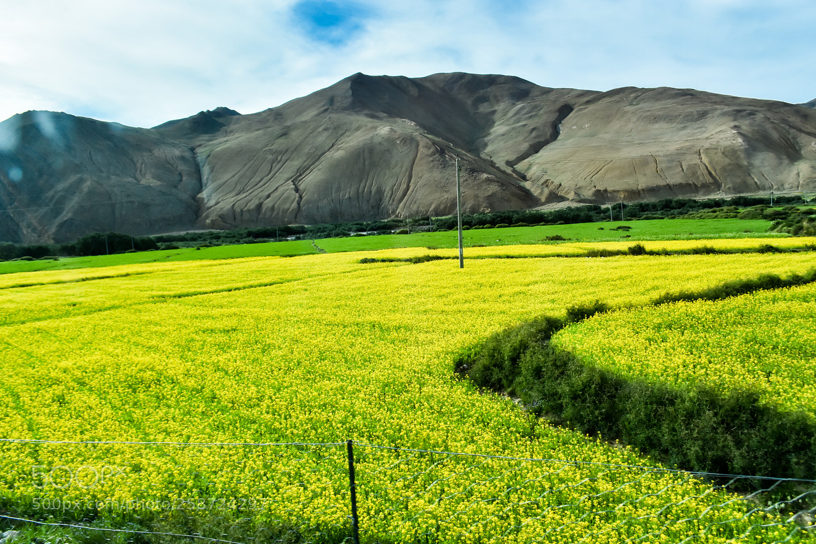 Nikon D7200 sample photo. On the road to photography