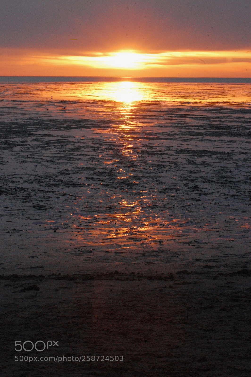 Nikon D40 sample photo. Sonnenuntergang cuxhaven 2018 photography