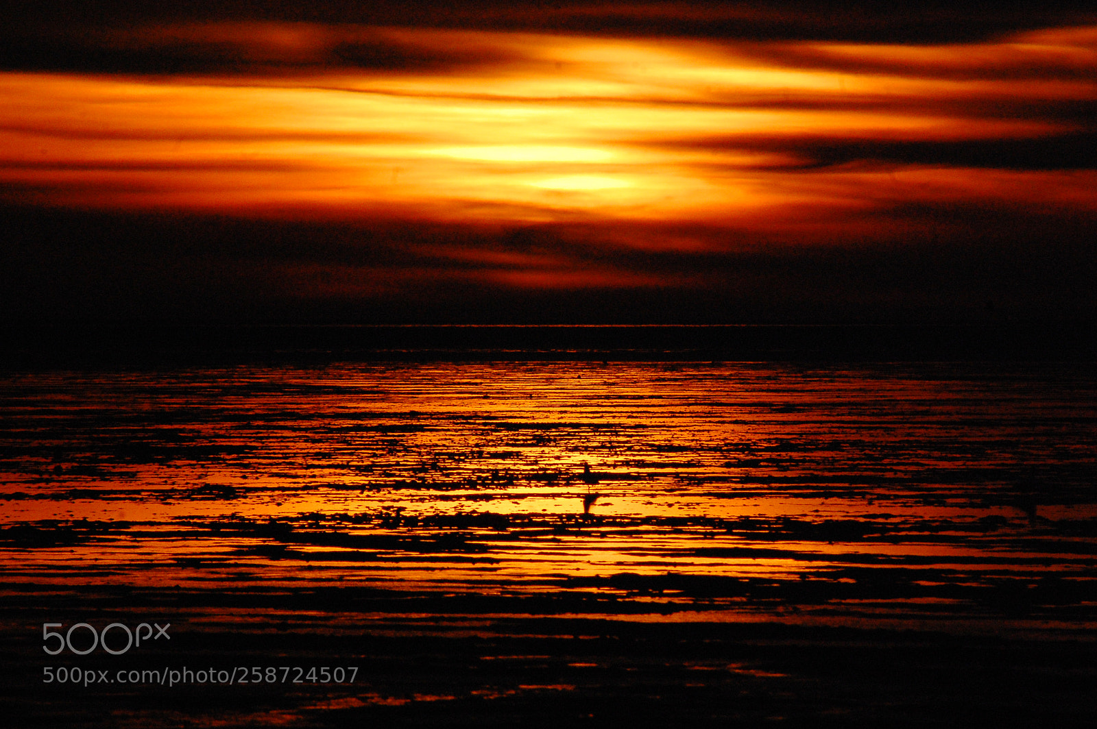 Nikon D40 sample photo. Sonnenuntergang cuxhaven 2018 2 photography