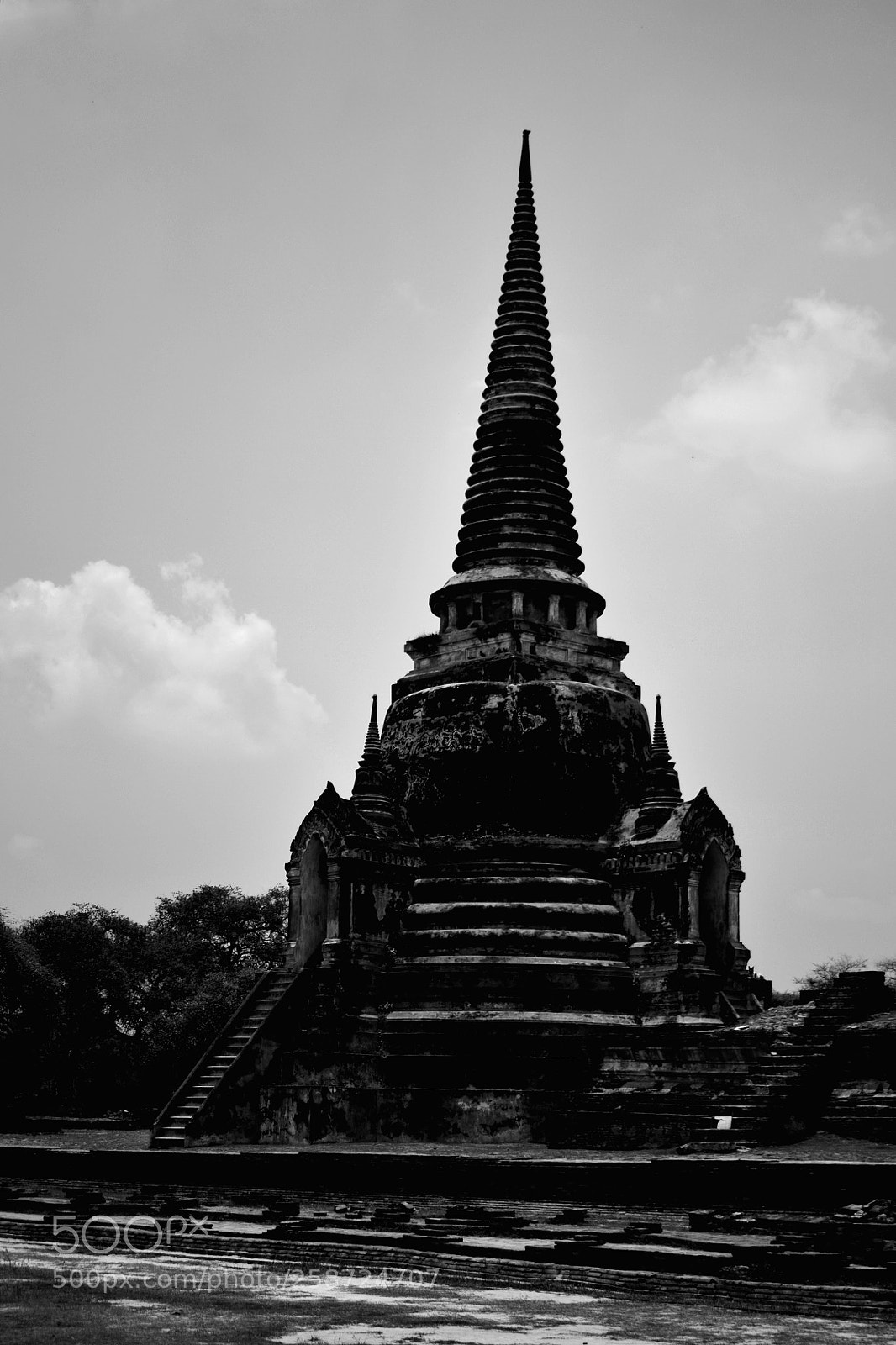 Nikon D5300 sample photo. Untitled photography