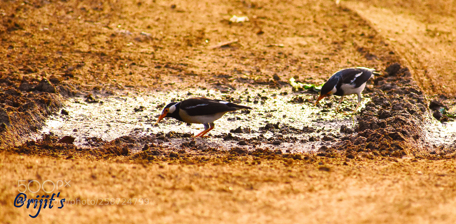 Nikon D3400 sample photo. Two soldiers- searching for photography