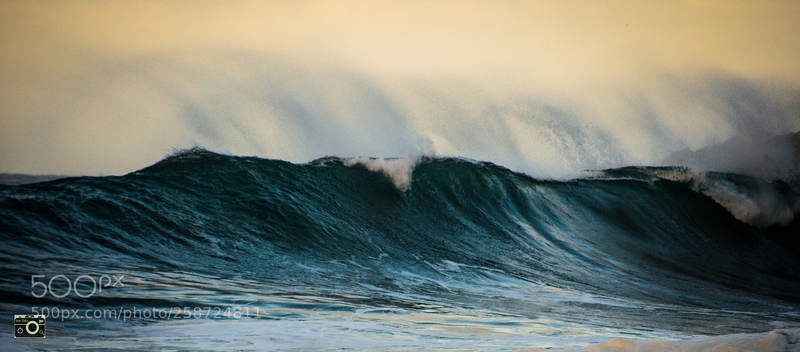Nikon D7200 sample photo. Blowing in the wind photography