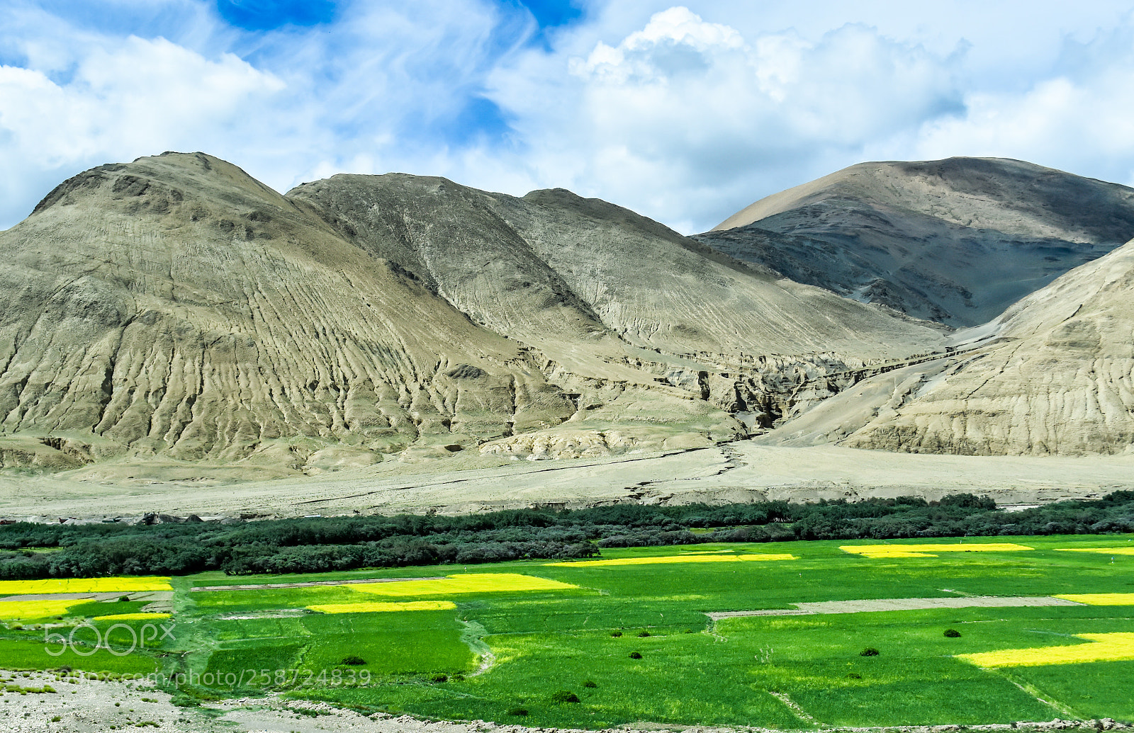 Nikon D7200 sample photo. On the road to photography