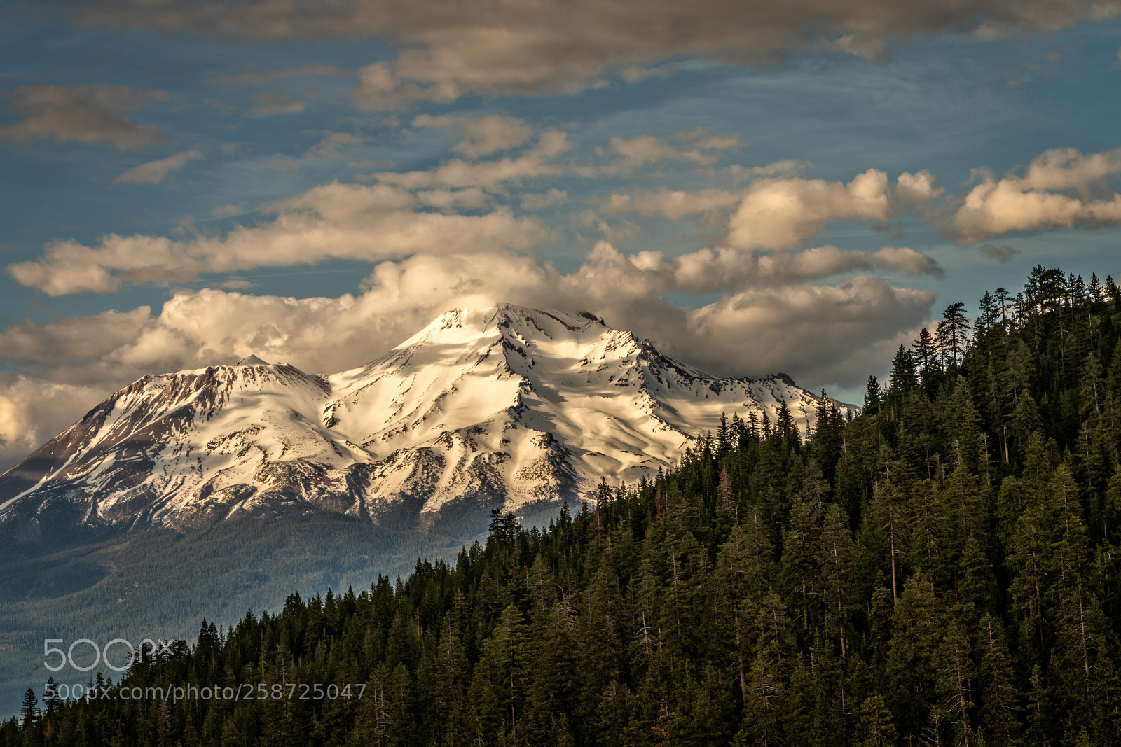Sony a7R III sample photo. Mount shasta photography