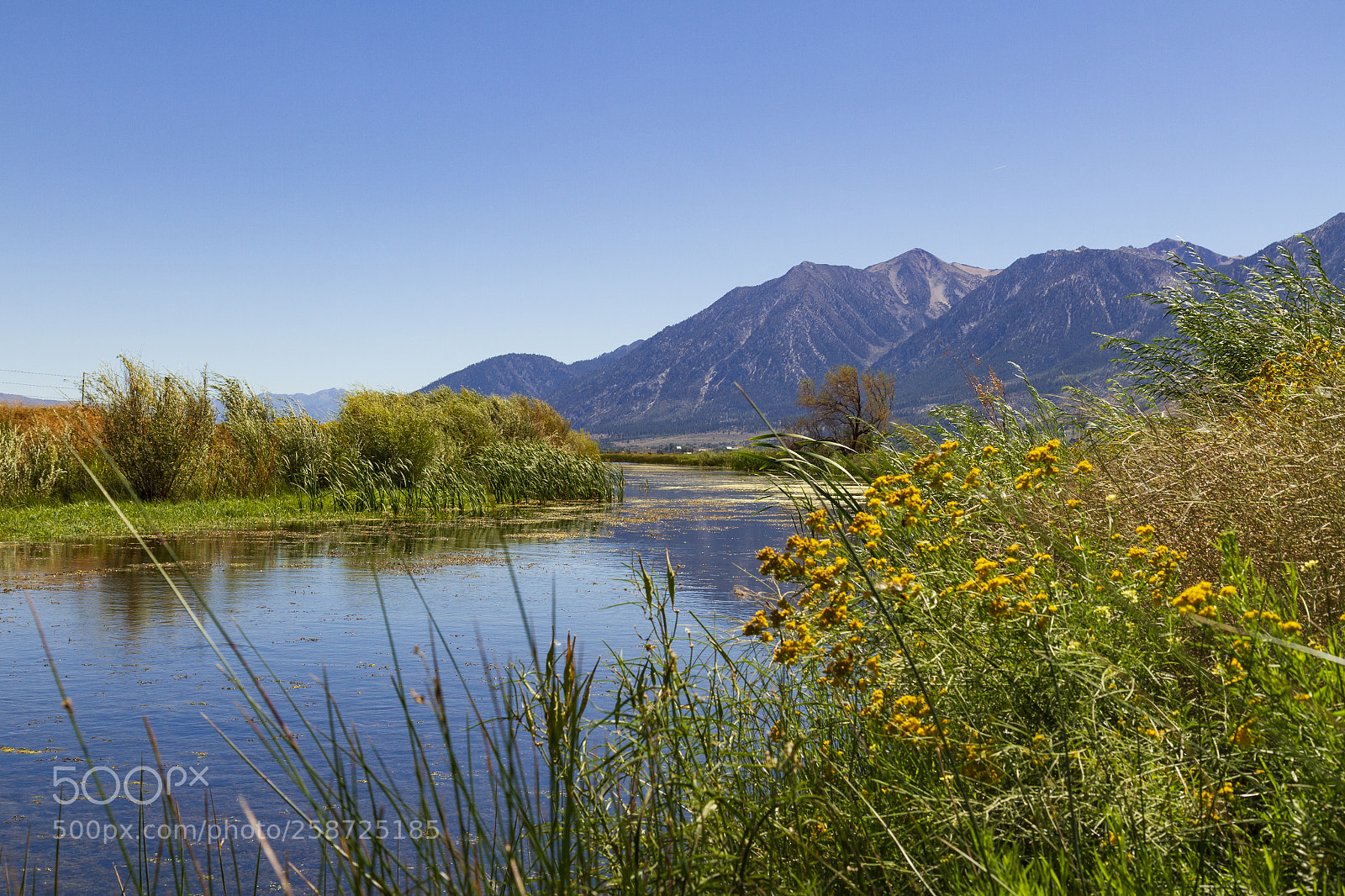 Canon EOS 7D sample photo. Nevada scenery photography