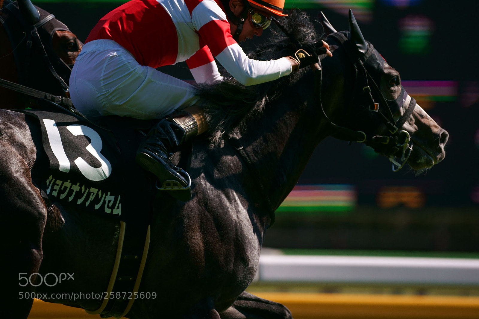 Sony a9 sample photo. Horse race photography