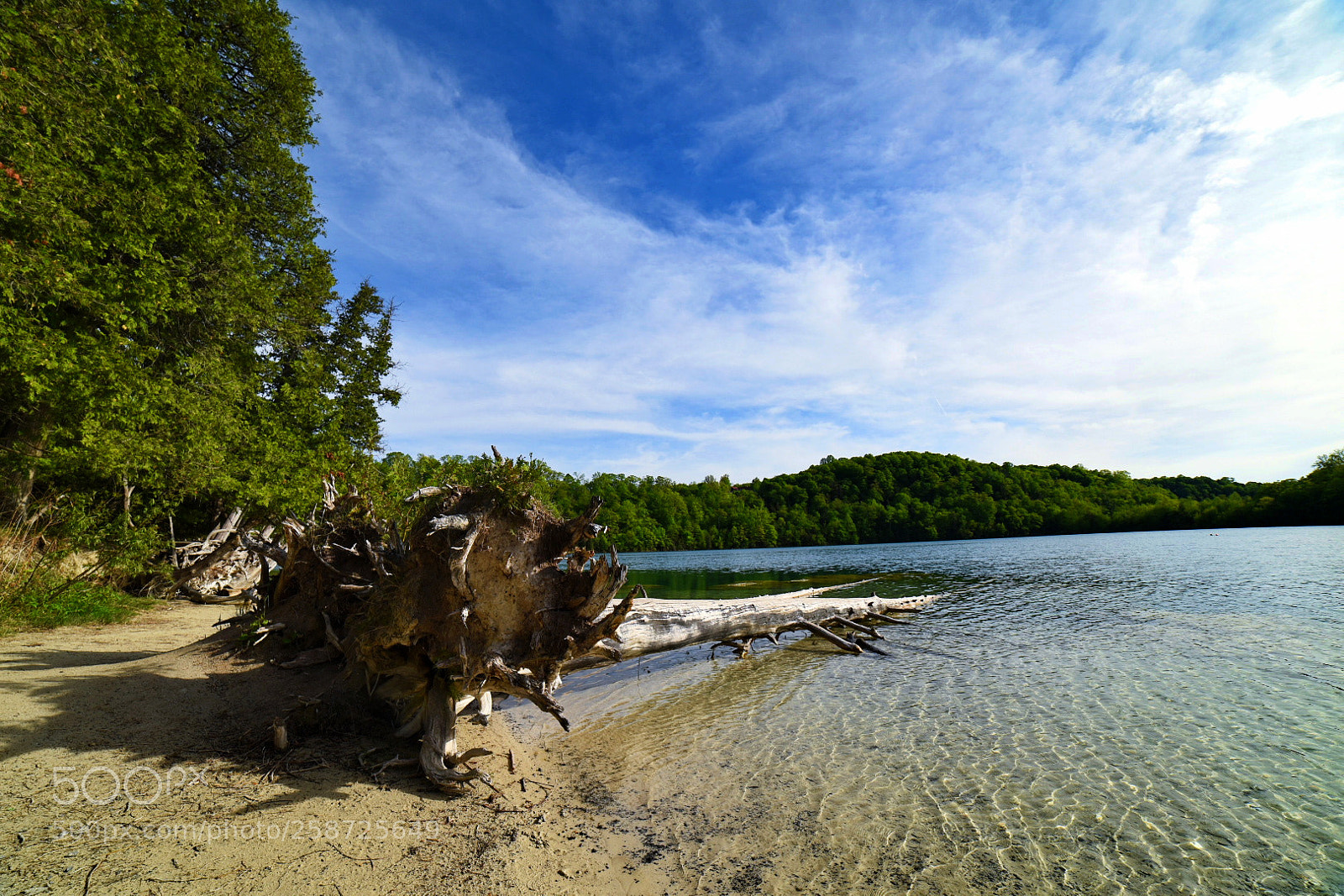 Nikon D750 sample photo. Creep toward water 匍匐入水中 photography