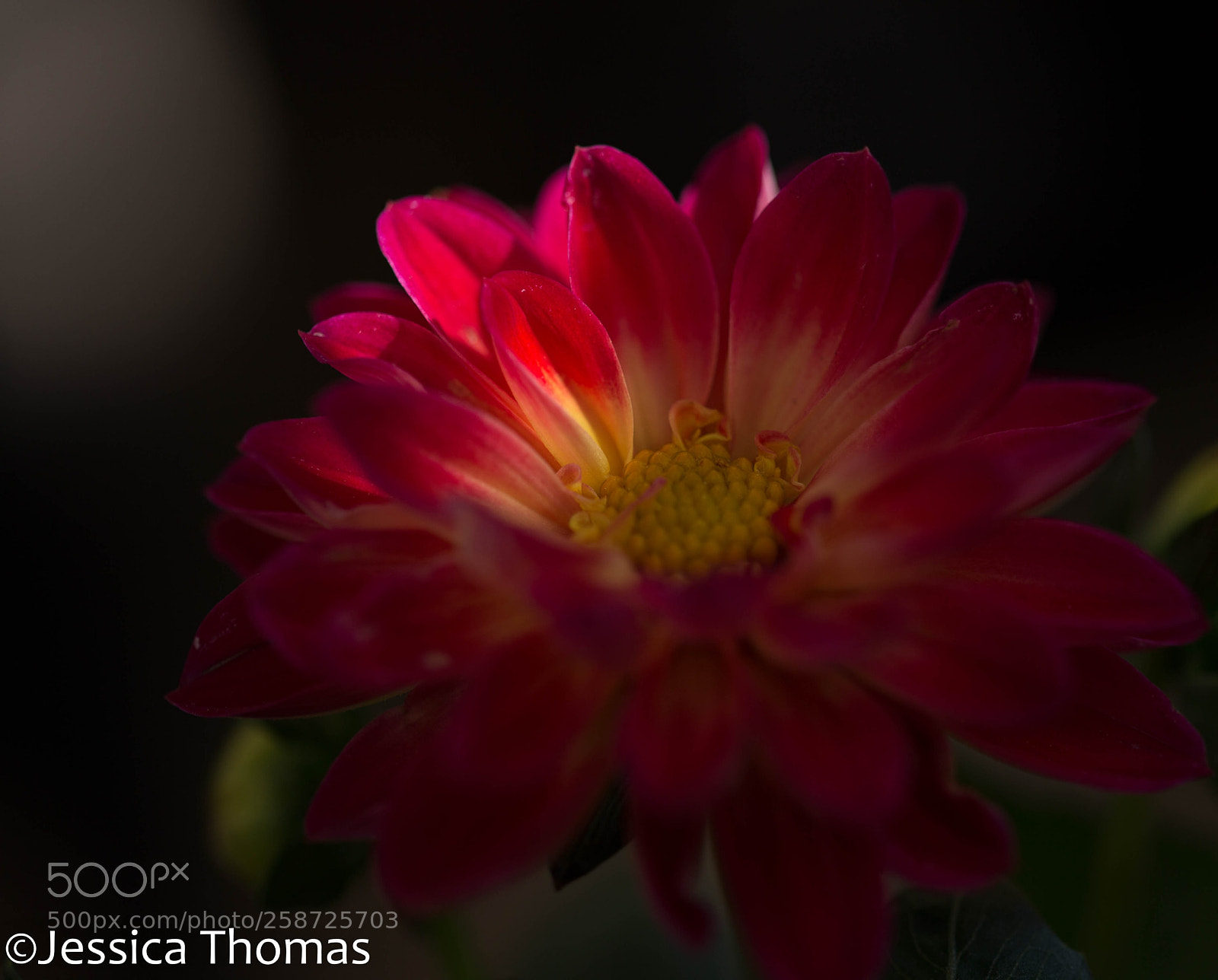 Canon EOS 6D sample photo. Untitled photography