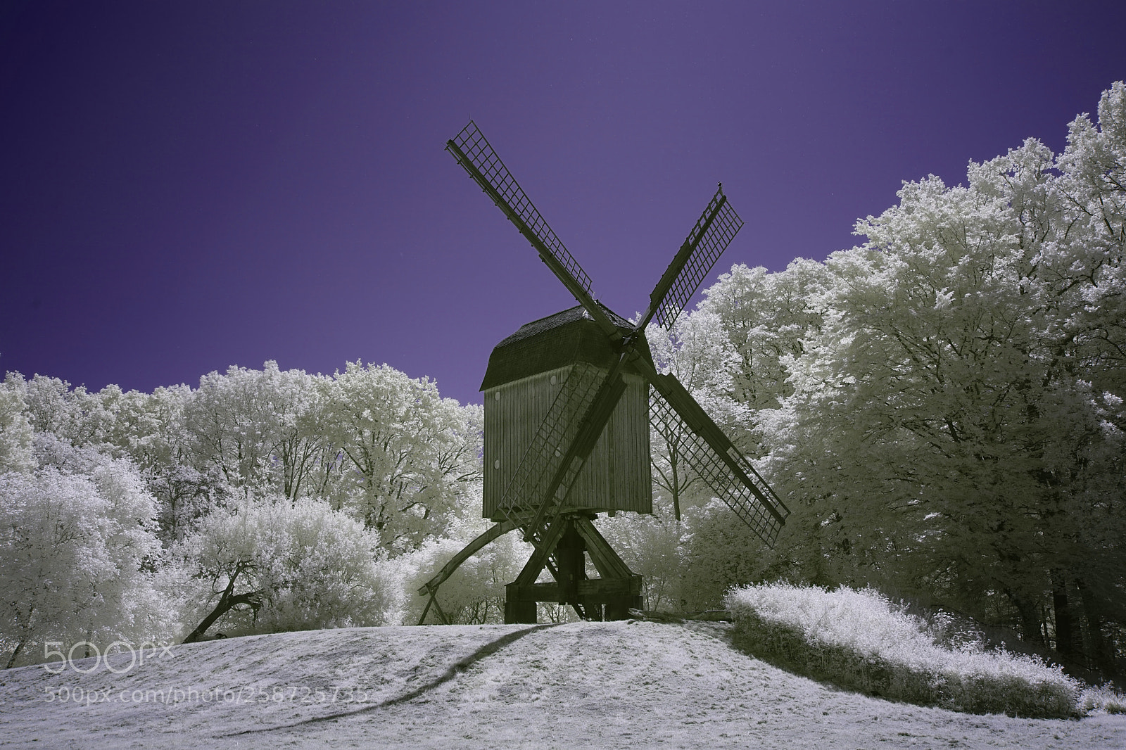 Sony a7 sample photo. :) photography