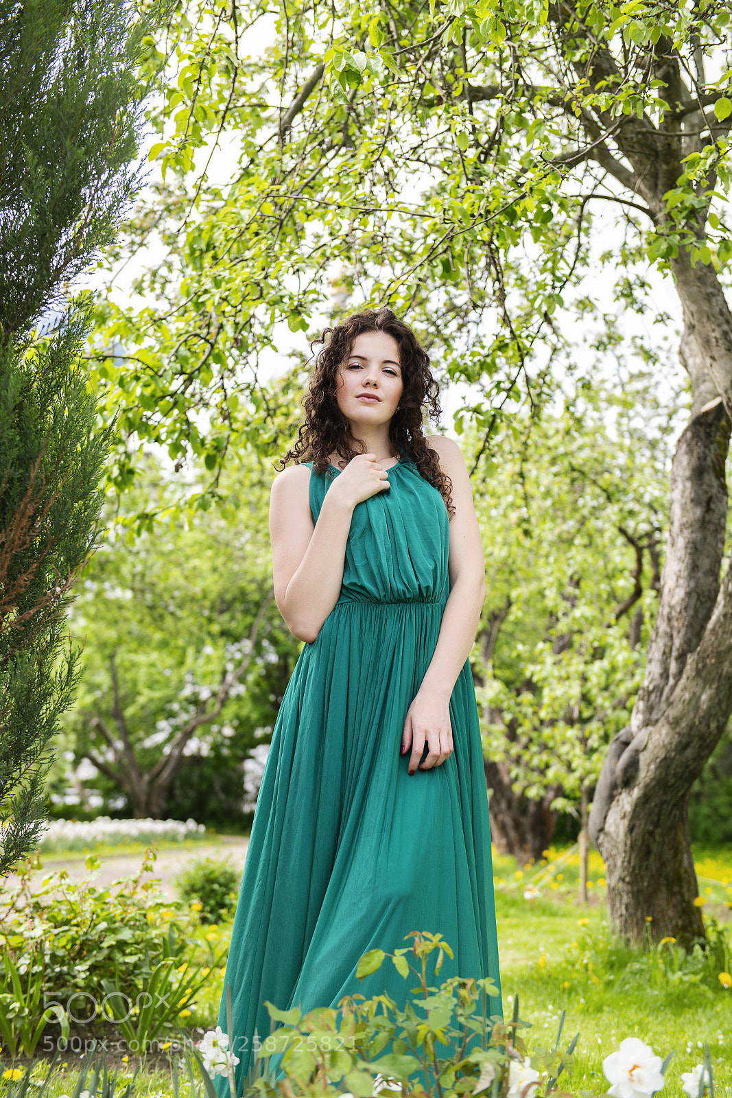 Nikon D850 sample photo. Dsc photography