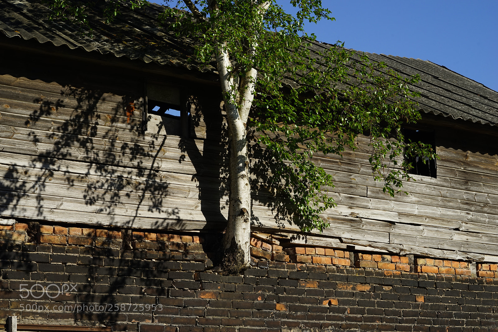 Sony a7R sample photo. Dsc photography