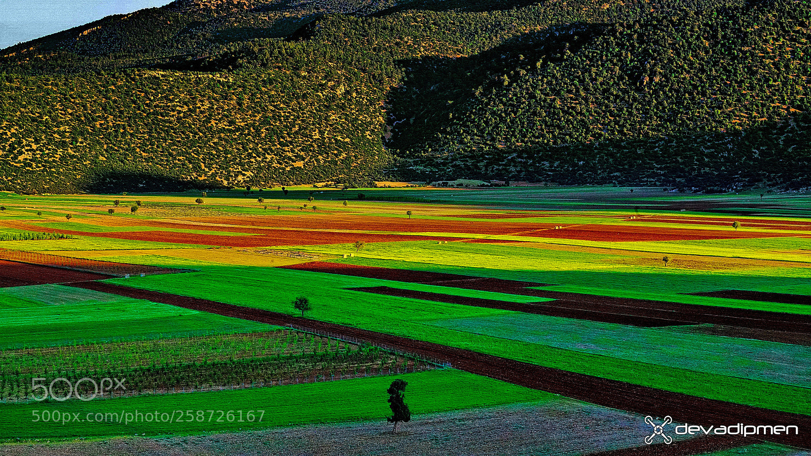 Canon EOS 6D Mark II sample photo. Fertile lands / 200518053 photography