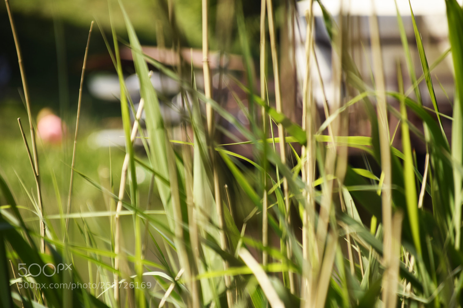 Nikon D3300 sample photo. Lake mood photography