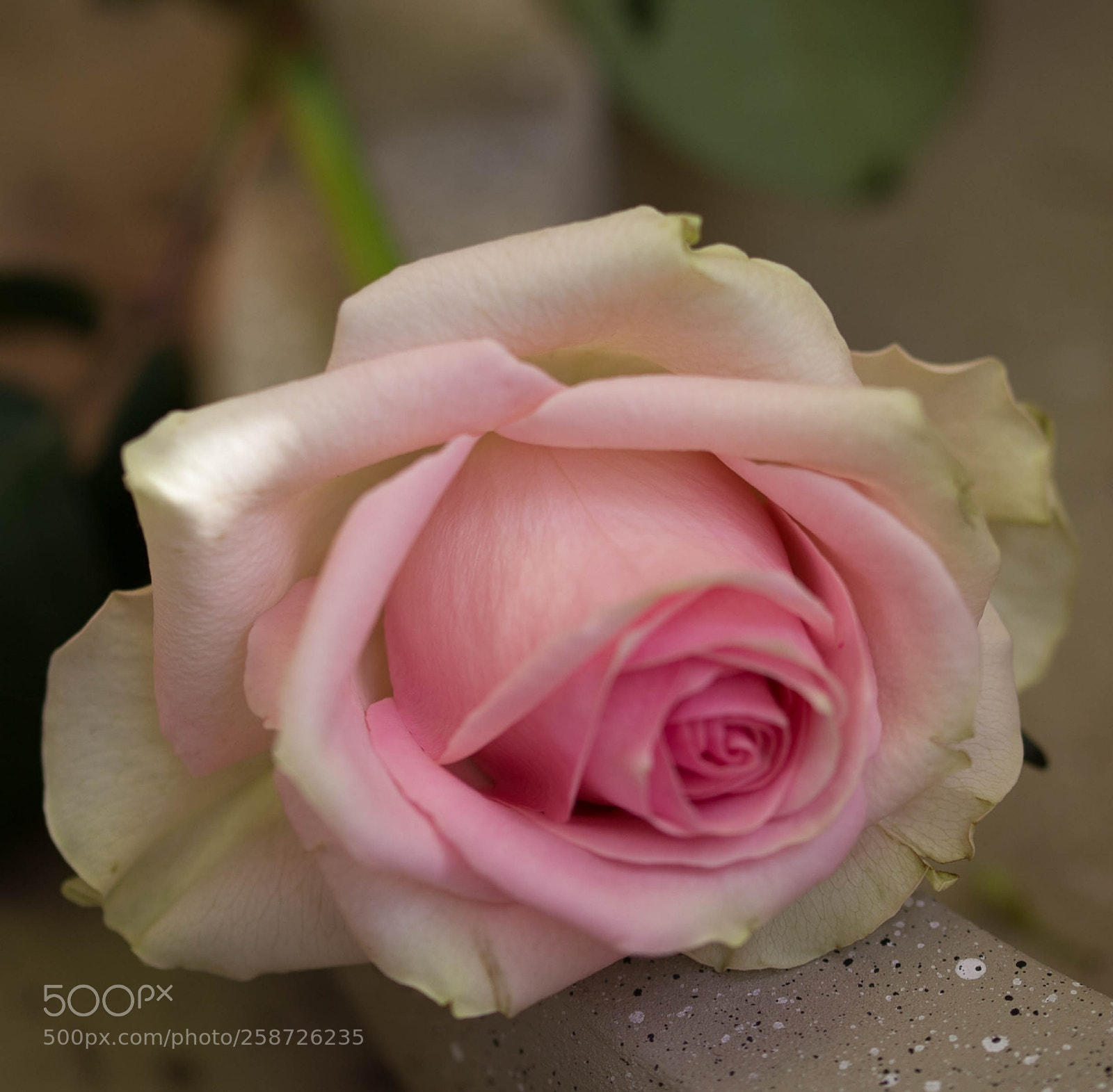 Canon EOS 6D sample photo. Untitled photography