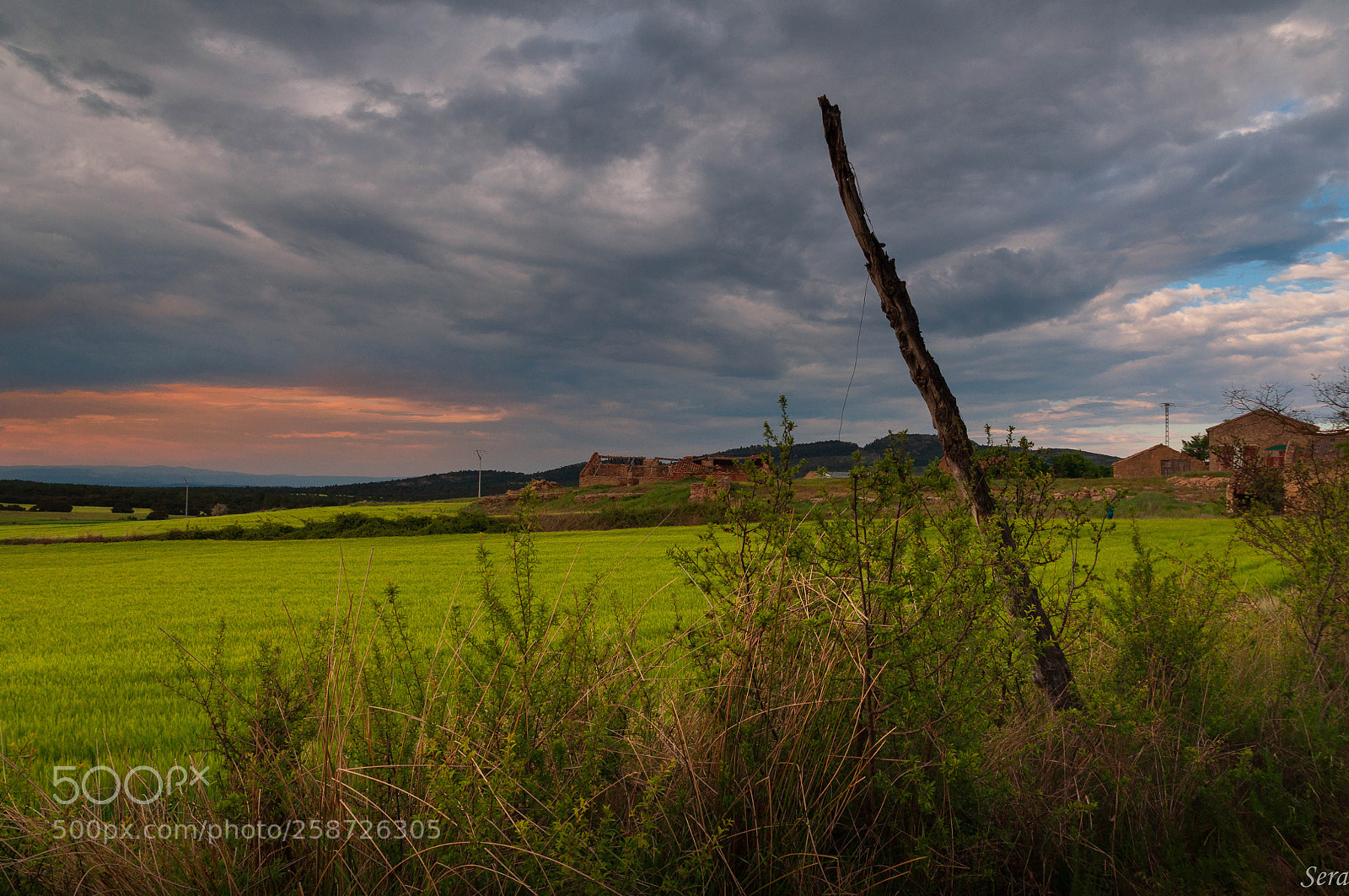 Nikon D90 sample photo. Trigo entre distintas nubes photography