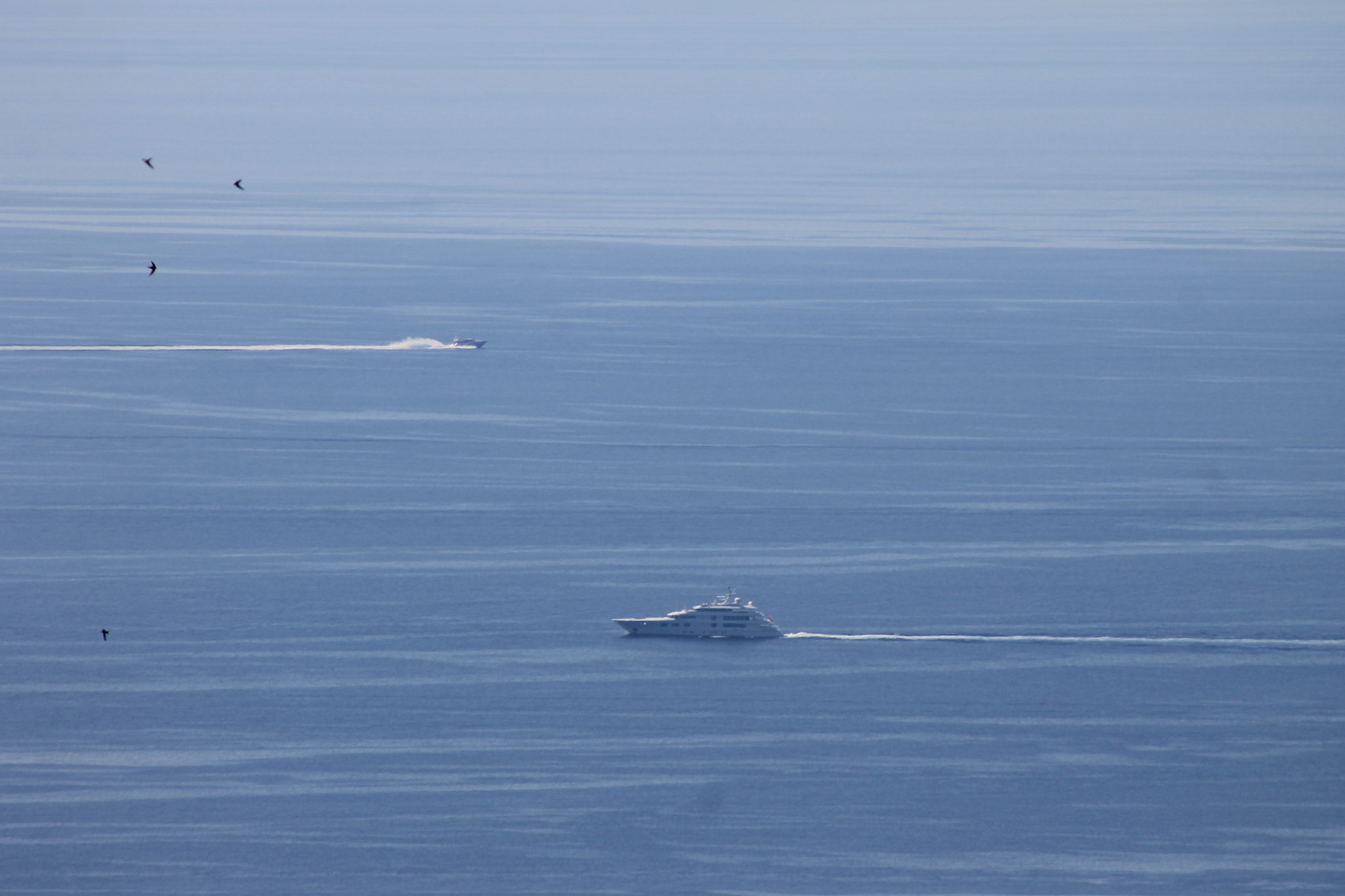 Canon EF 100-300mm f/5.6 sample photo. Img photography