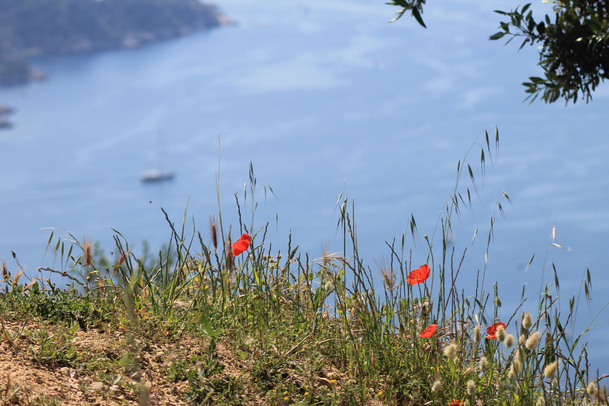 Canon EF 100-300mm f/5.6 sample photo. Img photography