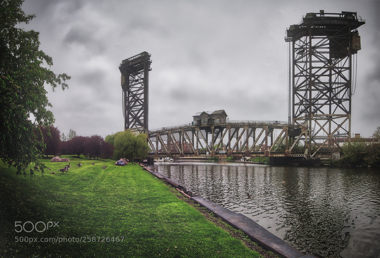 Nikon D810 sample photo. The bridge photography