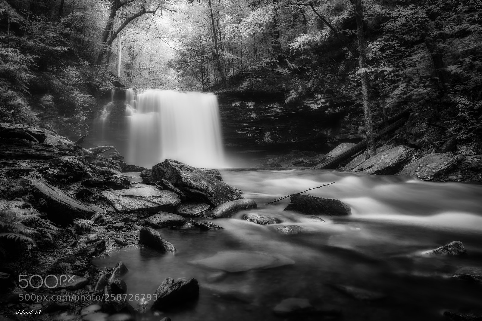 Nikon D750 sample photo. Rickett's glen photography
