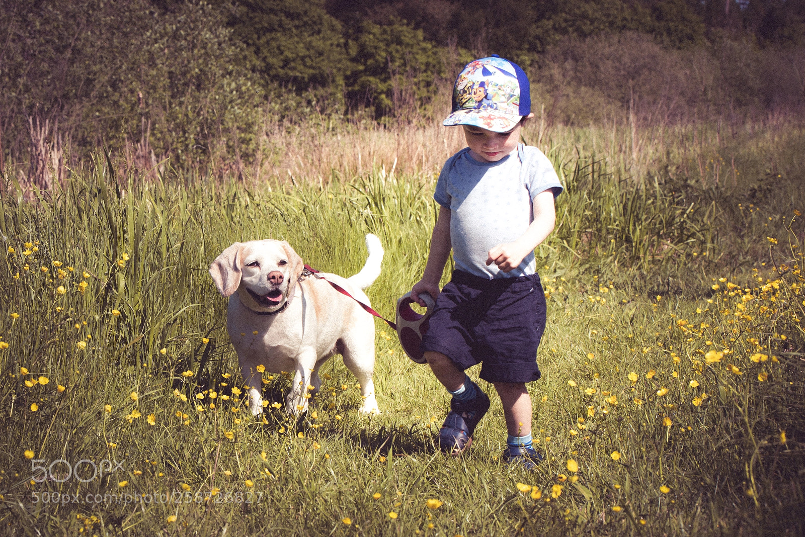 Nikon D750 sample photo. Dreng og hund photography