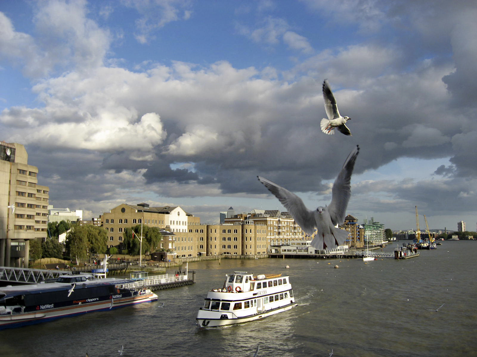 Canon DIGITAL IXUS 800 IS sample photo. Birds over the river photography